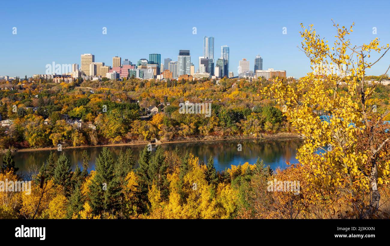 Vista dello skyline del centro di Edmonton e dei colori autunnali della valle del fiume lungo il fiume North Saskatchewan e il fiume Dawson che attraversa il fiume Foto Stock