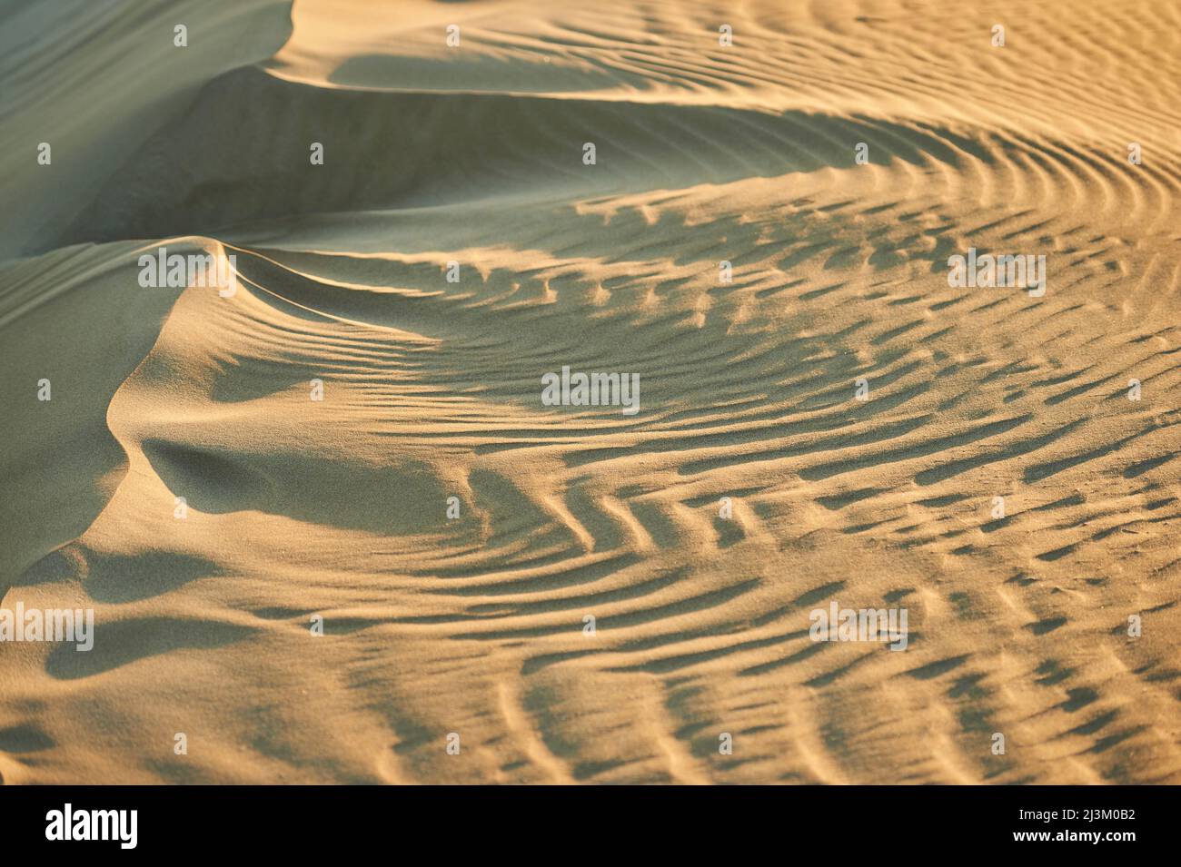 Ondate di dune di sabbia al tramonto, delta del fiume Ebro; Catalogna, Spagna Foto Stock