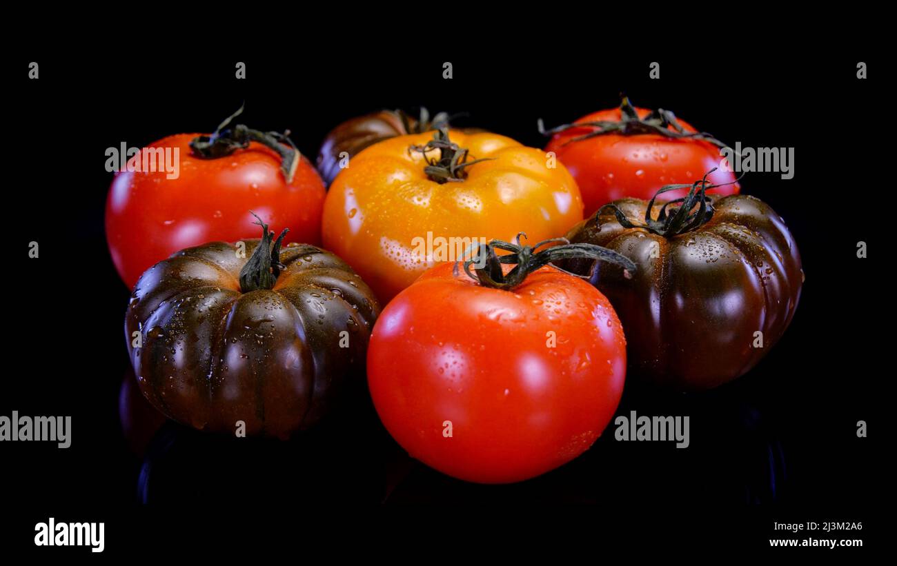 Diversi tipi di pomodori su sfondo nero. Pomodoro fresco e sodo. Ristorante, negozio di alimentari o promo agricolo. Foto Stock