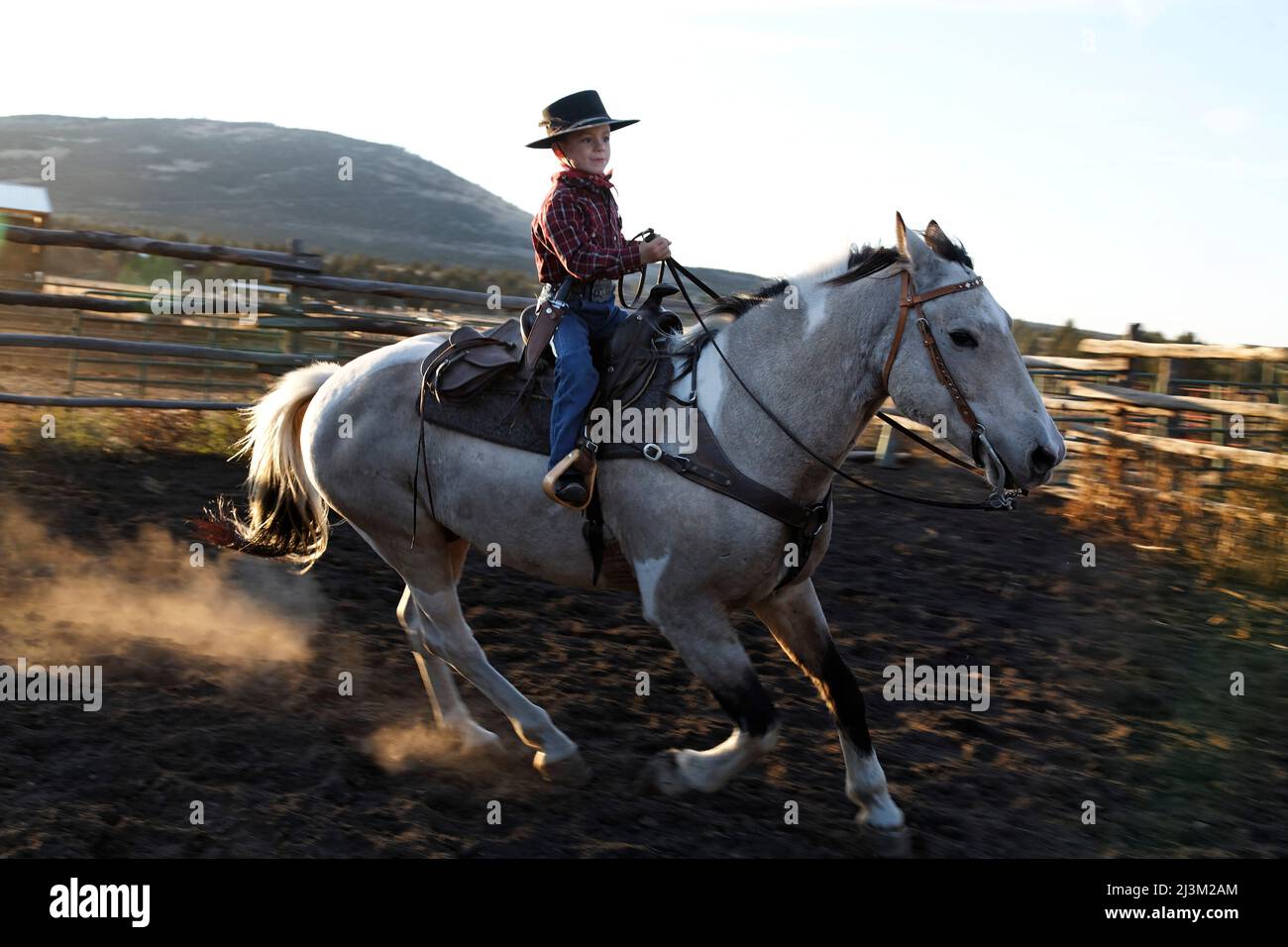 Il giovane cowboy corre un mustang; Prineville, Oregon, Stati Uniti d'America Foto Stock
