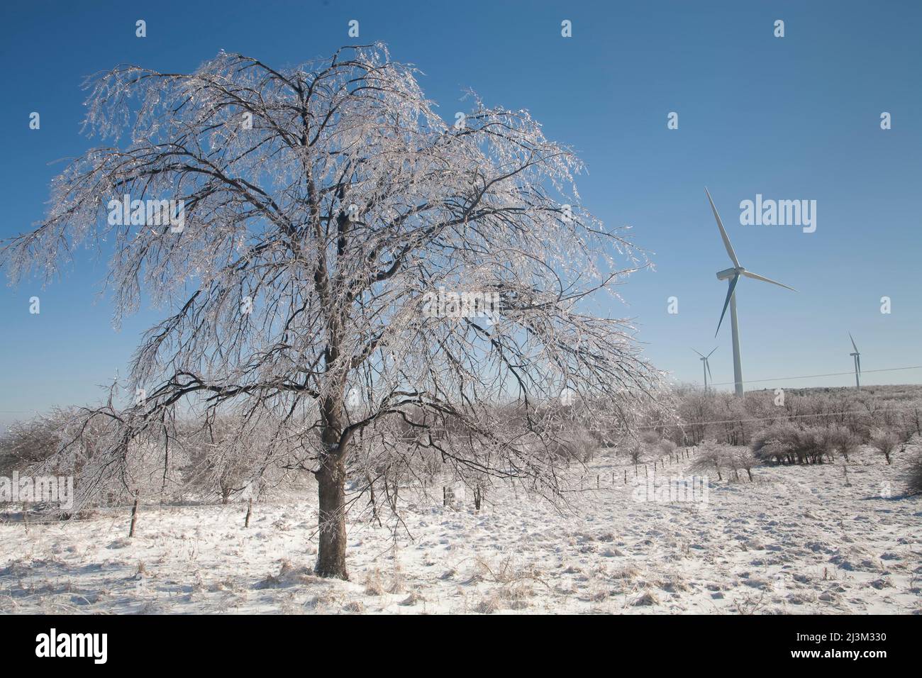 Turbine eoliche in inverno dopo una tempesta di ghiaccio.; Mount Storm, West Virginia. Foto Stock