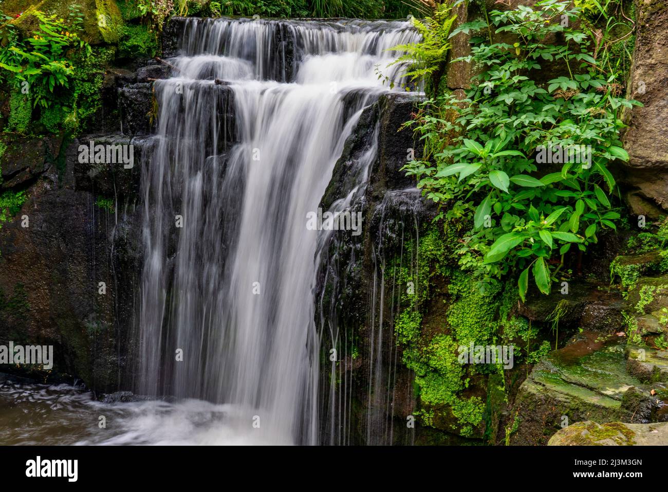 Splendide cascate e vegetazione lussureggiante al Jesmond Dene Public Park; Newcastle upon Tyne, Northumberland, Inghilterra Foto Stock