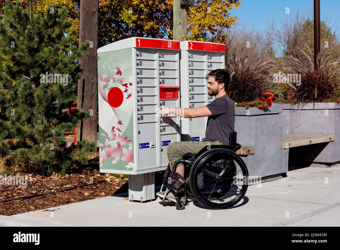 Giovane paraplegico alle caselle postali della comunità che riceve la sua posta; Edmonton, Alberta, Canada Foto Stock