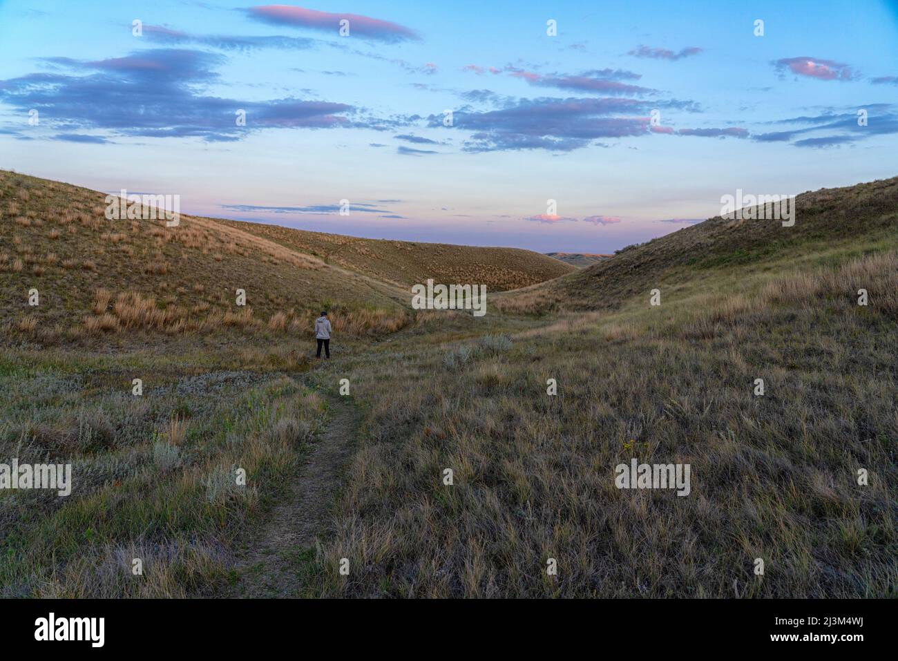 Donna che cammina su un sentiero attraverso praterie Parco Nazionale, Saskatchewan. La luce del tardo giorno comincia ad illuminare il cielo; Val Marie, Saskatchewan, Canada Foto Stock