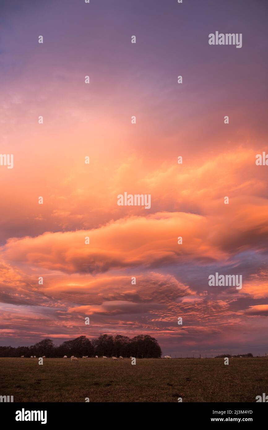 Il cielo diventa rosso quando il sole tramonta su una riva di spettacolari nuvole lenticolari; Shaftoe Crags, Northumberland, Inghilterra Foto Stock