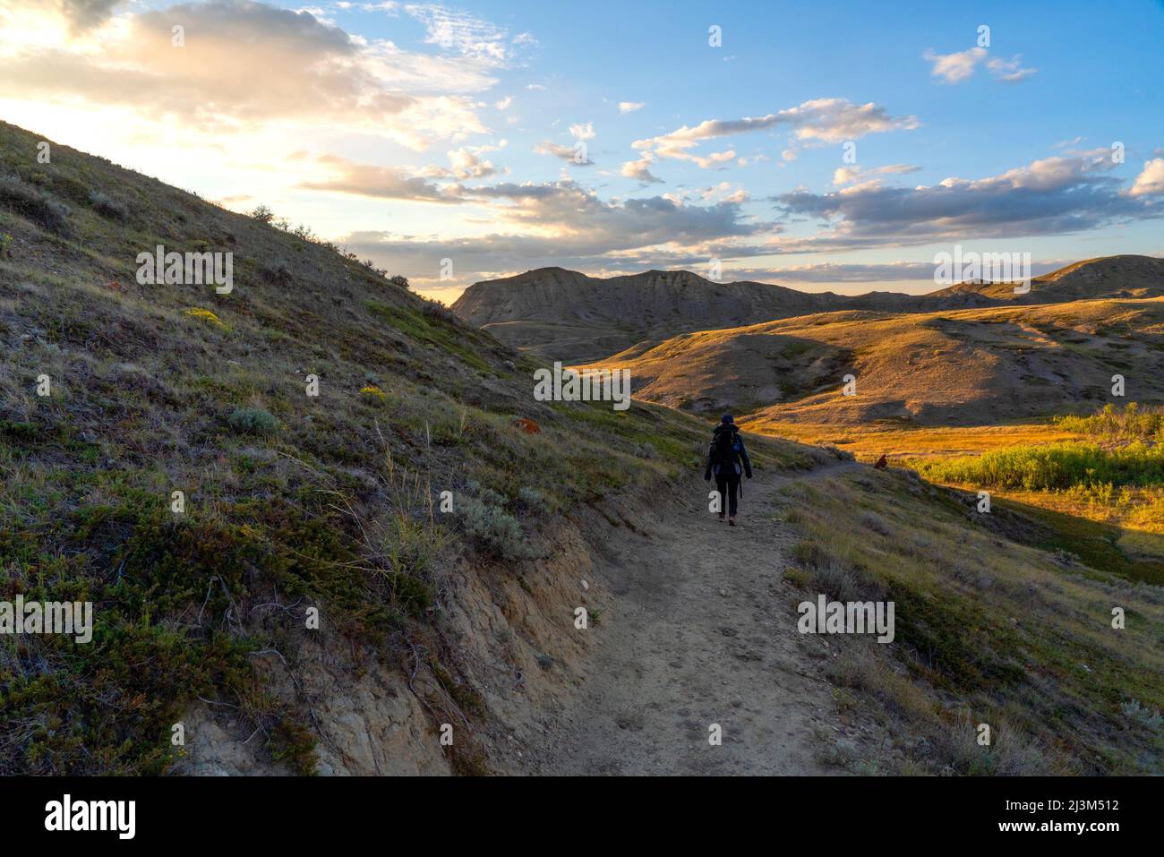 Donna che cammina su un sentiero attraverso praterie Parco Nazionale, Saskatchewan come il tramonto si avvicina; Val Marie, Saskatchewan, Canada Foto Stock