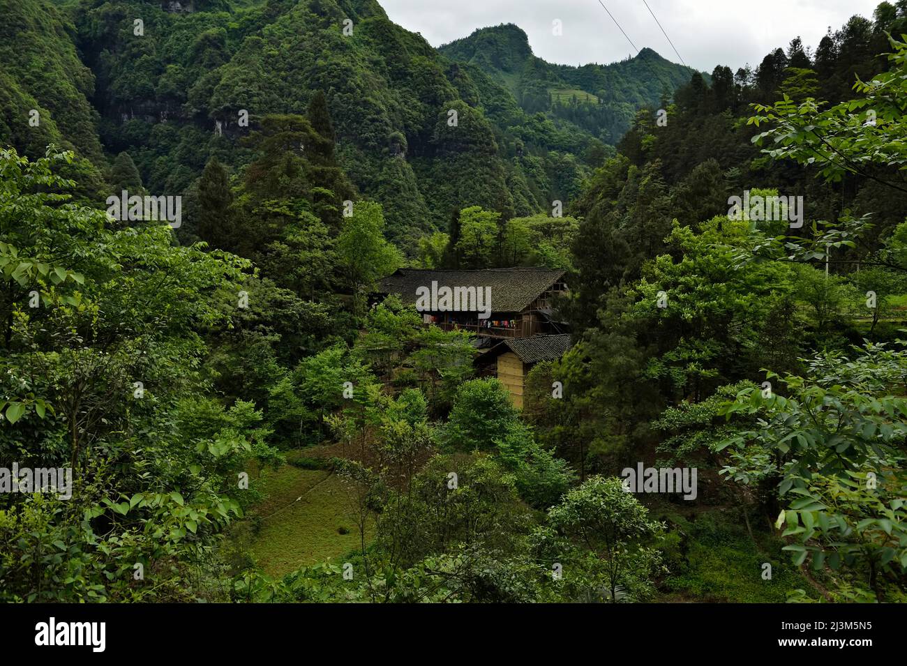 Montagne calcaree vegetate torre sopra una struttura costruita.; Wulong, provincia di Chongqing, Cina. Foto Stock
