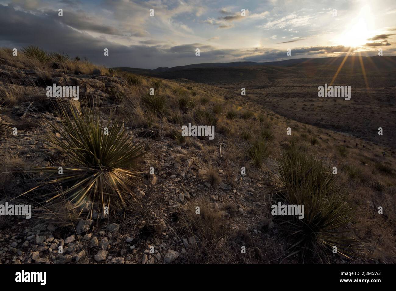 Il deserto di Chihuahuan nelle montagne di Guadalupe del New Mexico meridionale; il Parco Nazionale delle grotte di Carlsbad, New Mexico. Foto Stock