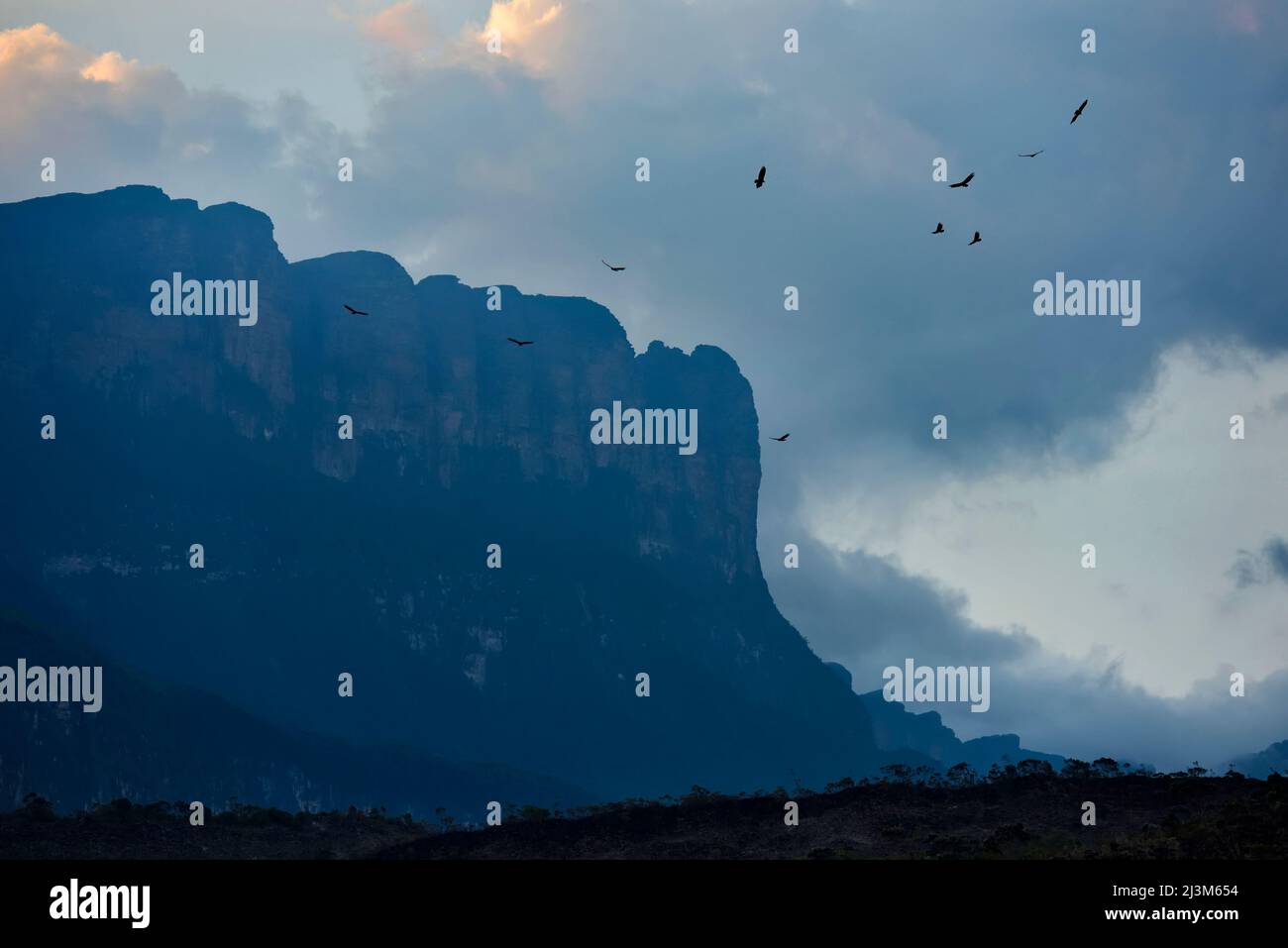 Le scogliere meridionali di Auyan Tepui.; Gran Sabana, Venezuela. Foto Stock