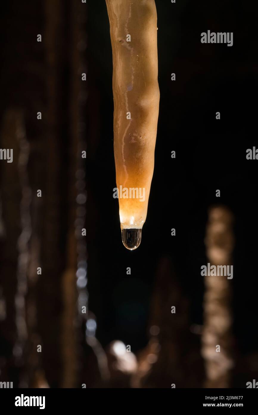 Una piccola goccia d'acqua si aggrappa al fondo di una stalattite nella camera segreta nella Grotta del vento; Gunung Mulu National Park, Sarawak, Borneo, Malesia. Foto Stock