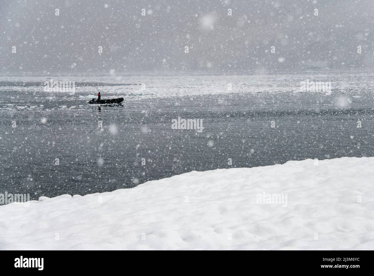 Barca gonfiabile che naviga in una tempesta di neve al porto di Neko dell'Antartide; Antartide Foto Stock