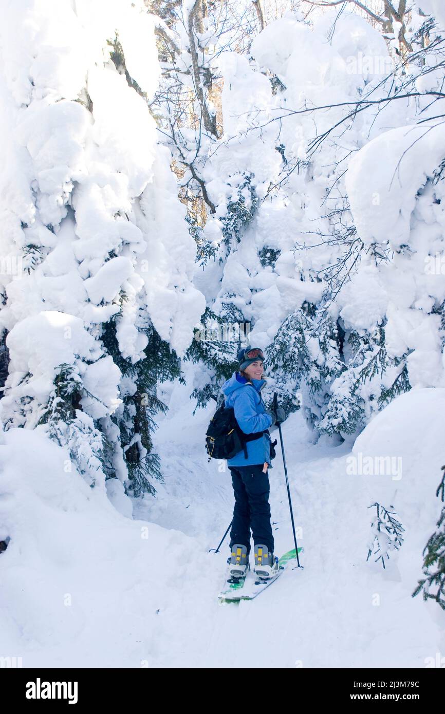 Una donna su uno snowboard spaccato sci di fondo oltre alberi carichi di neve.; Canaan Valley, West Virginia. Foto Stock