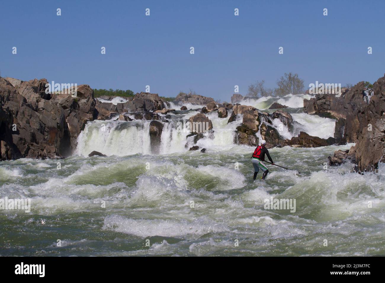 Una pagaia in piedi sul boarder surfs in acqua bianca appena sotto le grandi cascate.; fiume Potomac, Maryland/Virginia. Foto Stock