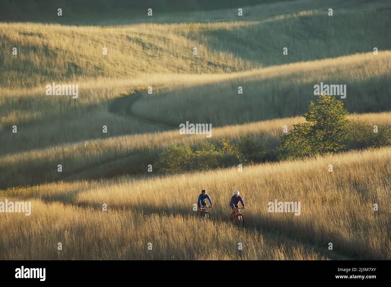 Mountain bikers su Elk Mountain nella contea di Pocahontas.; Pocahontas County, West Virginia. Foto Stock