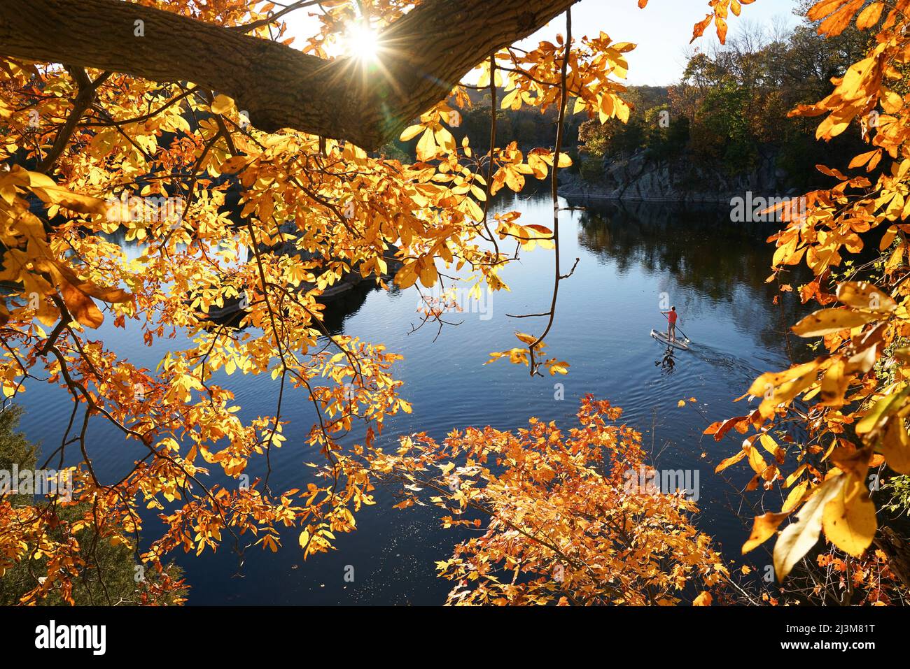 Un quindicenne pagella il suo SUP attraverso il brillante fogliame autunnale sulla sezione Widewater del canale C&o.; Potomac, Maryland. Foto Stock