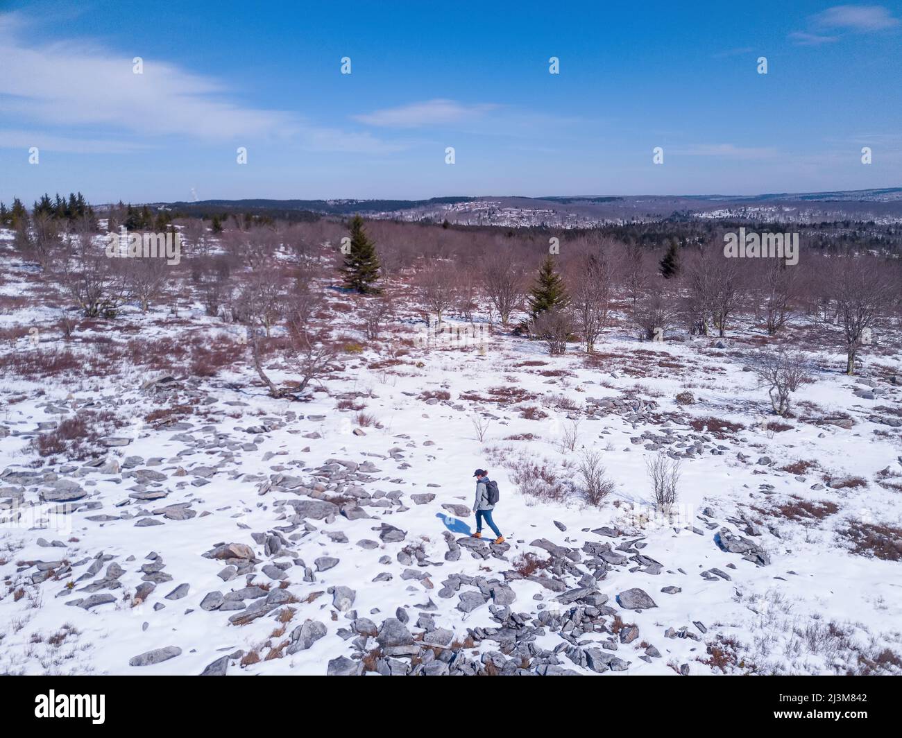 Una donna che attraversa rocce e neve nella zona naturalistica di Dolly Sods sopra la Canaan Valley.; Davis, Dolly Sods, West Virginia, USA Foto Stock