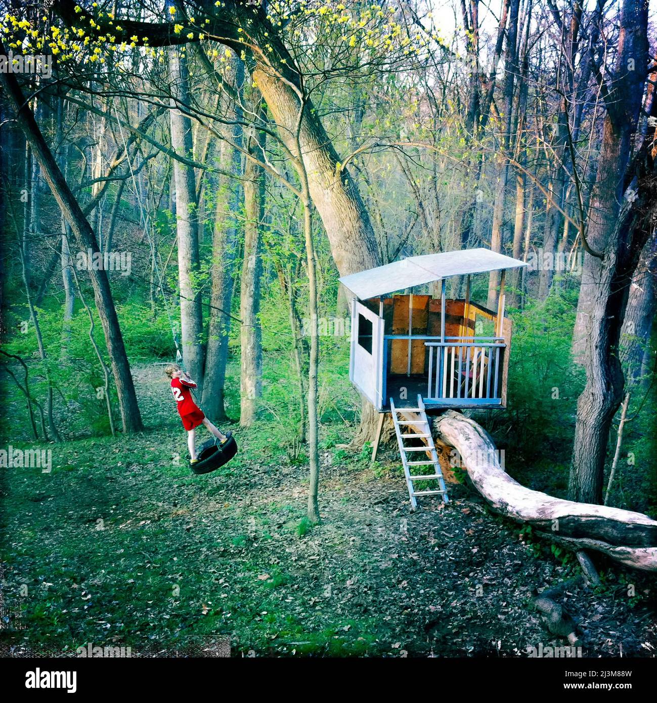 Un ragazzo di dieci anni oscilla su un'altalena di pneumatico accanto ad una casa sull'albero.; Cabin John, Maryland. Foto Stock