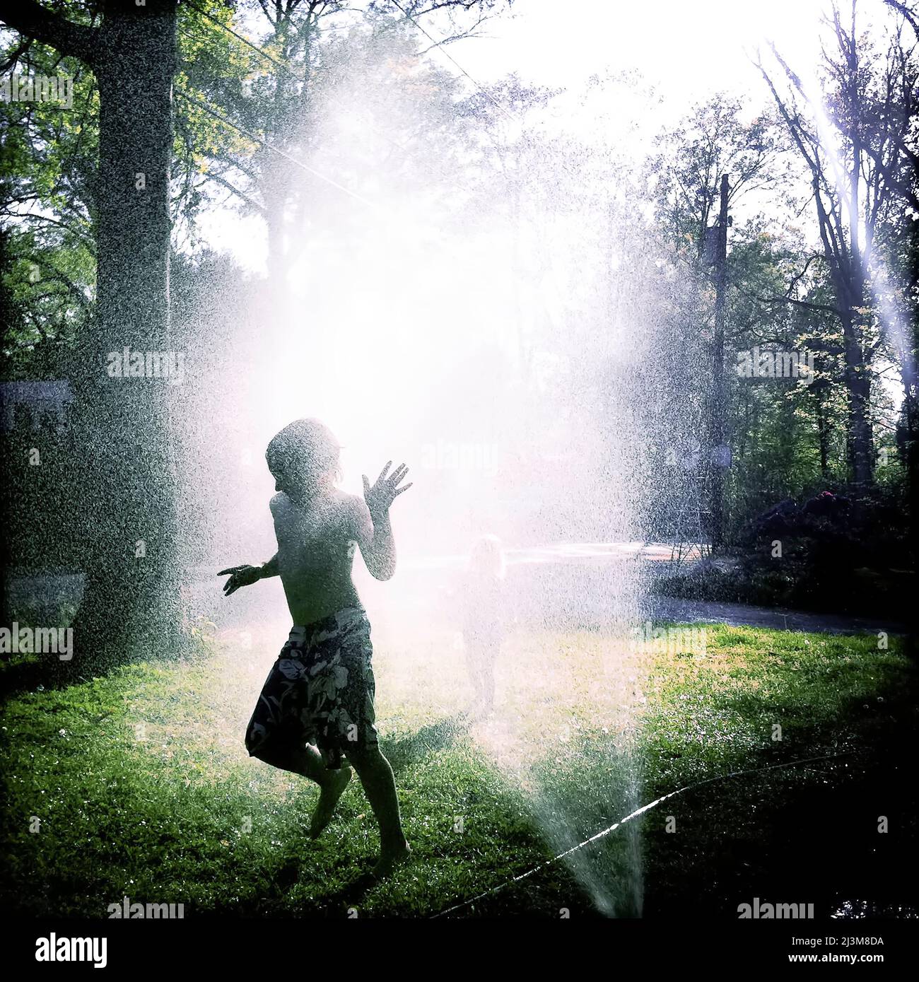 Bambini che giocano in un cortile irrigatore.; Cabin John, Maryland. Foto Stock