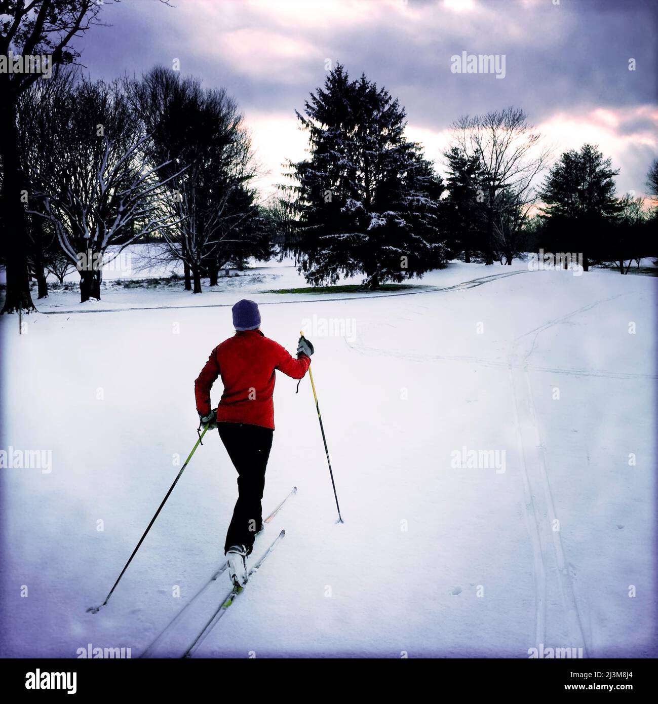 Una donna sci di fondo su un campo da golf durante una nevicata di inizio inverno.; Montgomery Country, Maryland. Foto Stock