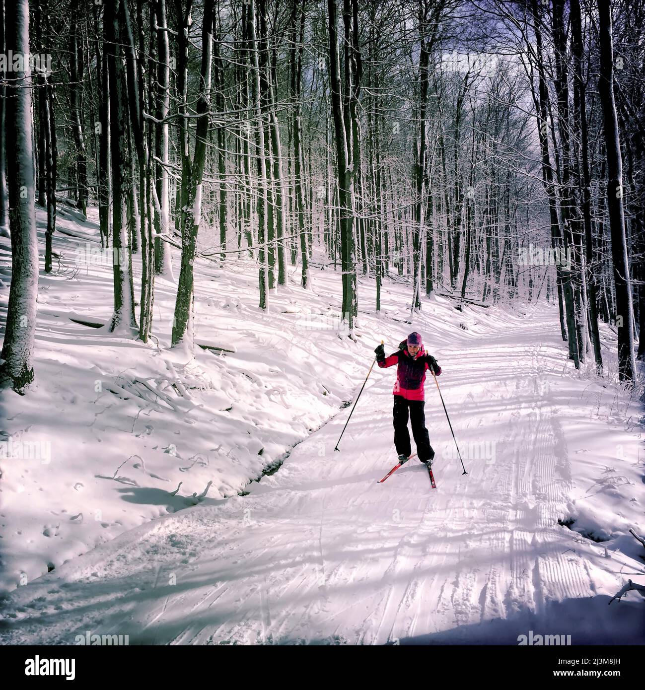 Una donna di sci di fondo presso il Whitegrass Touring Center; Canaan Valley, West Virginia. Foto Stock