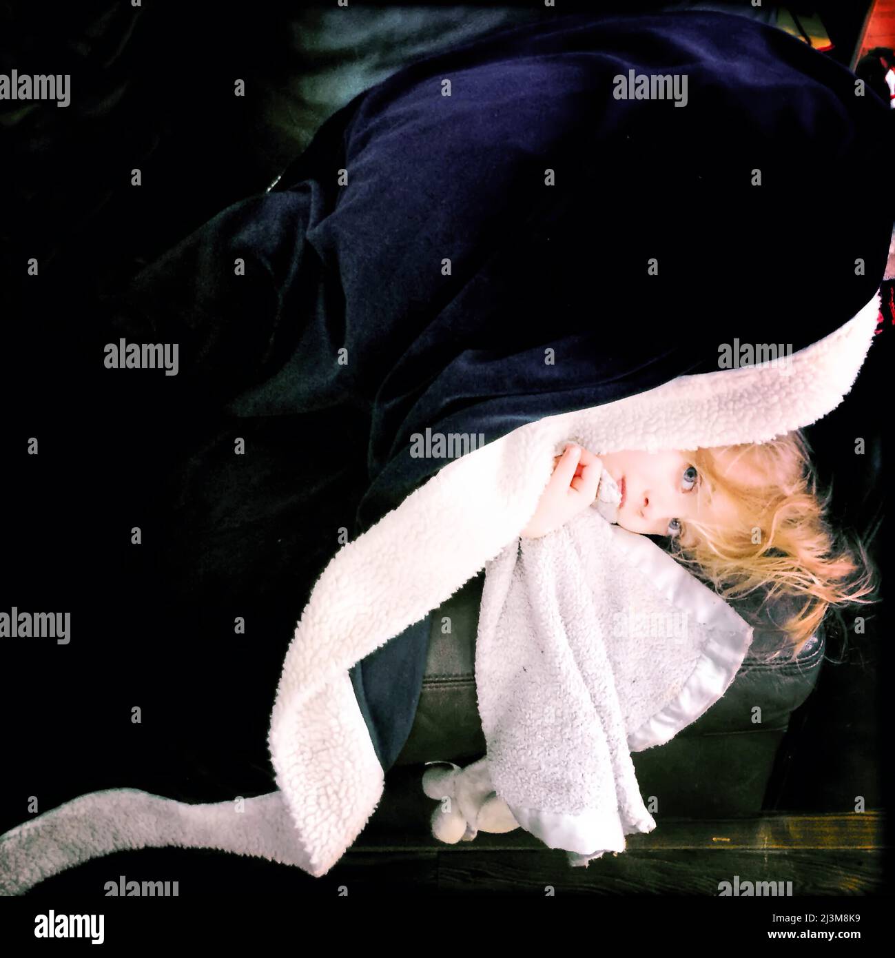 Bambina di quattro anni sbircia da sotto una coperta.; Cabin John, Maryland. Foto Stock