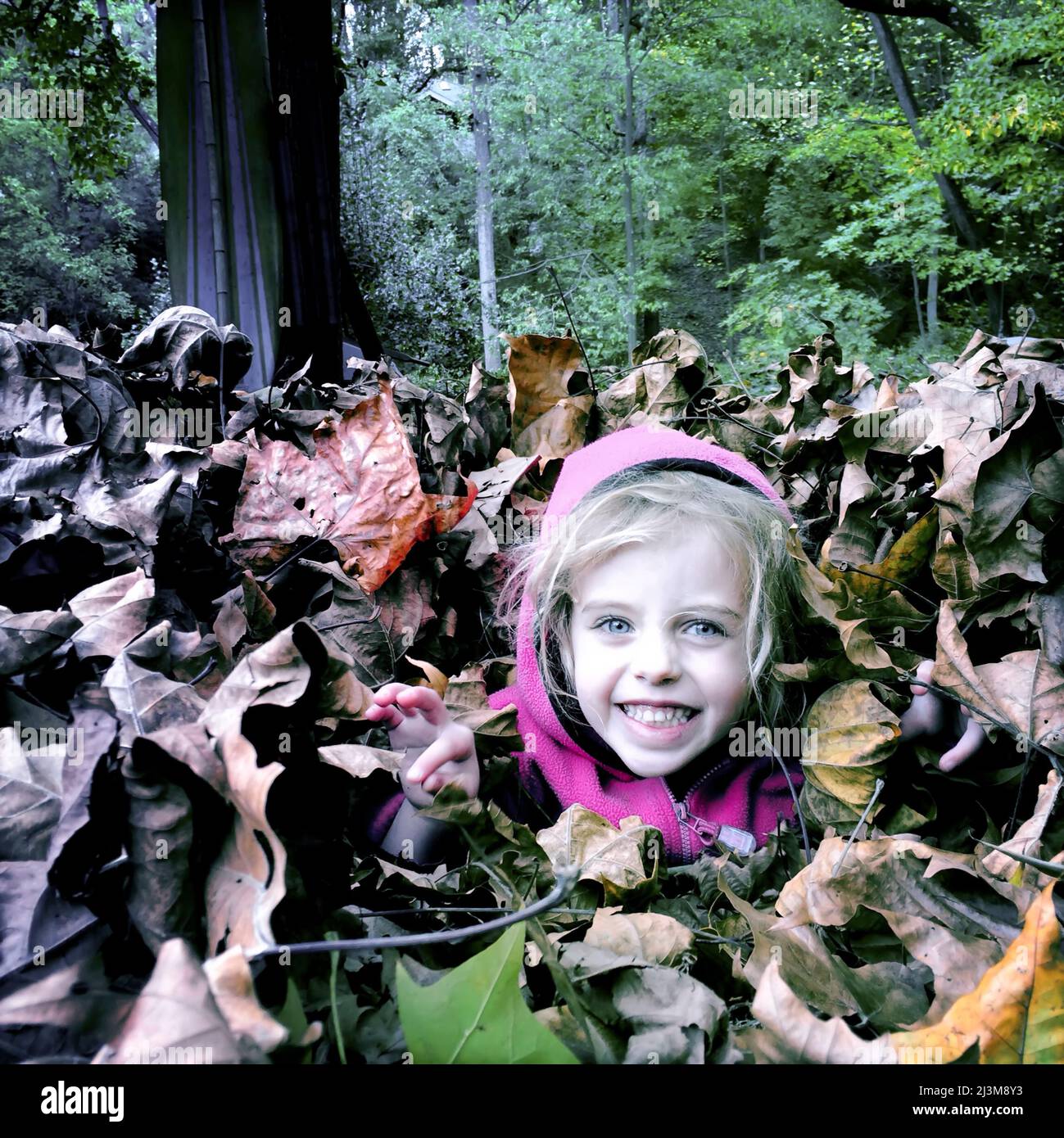 Una ragazza di quattro anni in un mucchio di foglie nel cortile della sua casa.; Cabin John, Maryland. Foto Stock