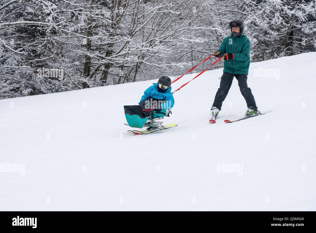 Sci adattivo per una ragazza con Ullrich muscoloso distrofia congenita, in una stazione sciistica con istruttore Foto Stock