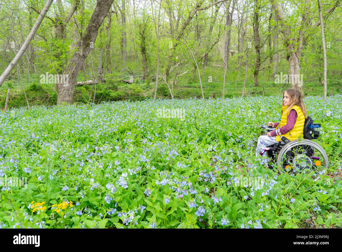 Ragazza in sedia a rotelle si siede tra fiori selvatici in fiore presso il fiume Potomac; Cabin John, Maryland, Stati Uniti d'America Foto Stock