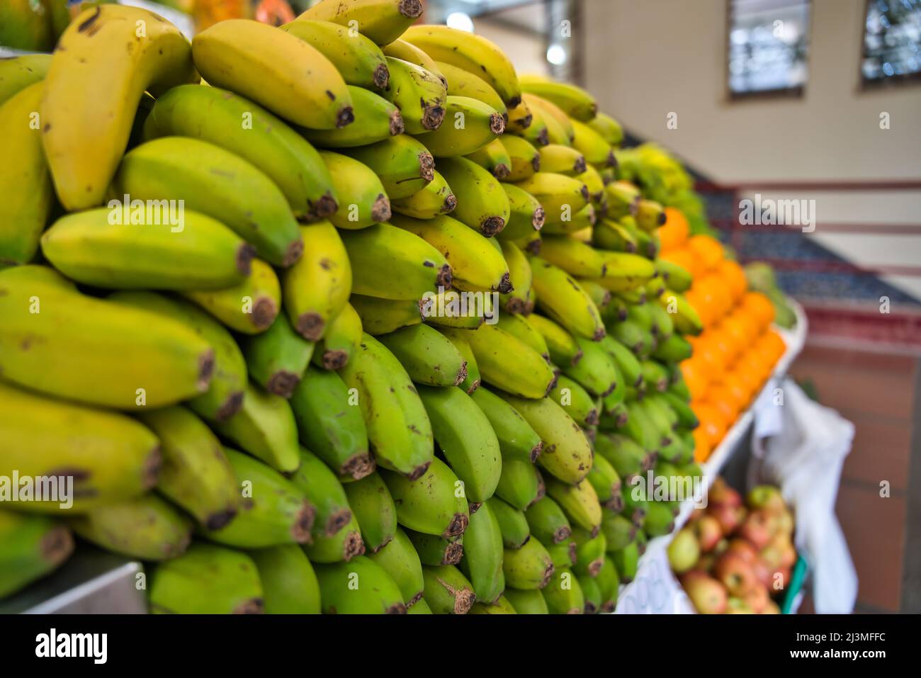 Mazzo di banane gialle e verdi dell'isola di Madeira. Messa a fuoco selettiva. Funchal, Portogallo Foto Stock