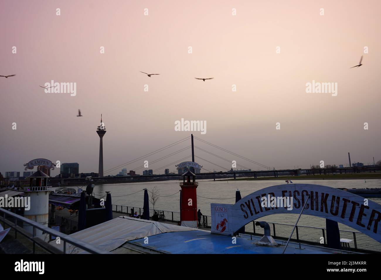 Un pomeriggio invernale a nebbia sul fiume Reno a Düsseldorf. Giornata fredda con cielo color pastello. Il simbolo della torre del Reno è visibile sullo sfondo. Foto Stock