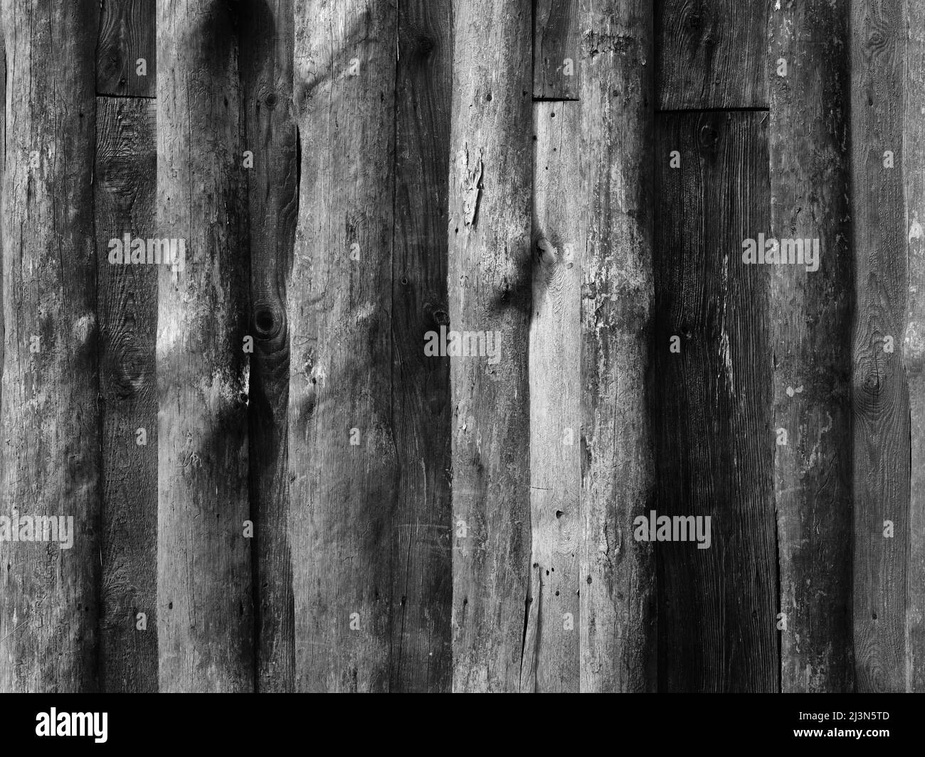 Primo piano bianco e nero di pannelli di legno intemprati con grana rustica e texture naturale. Foto Stock