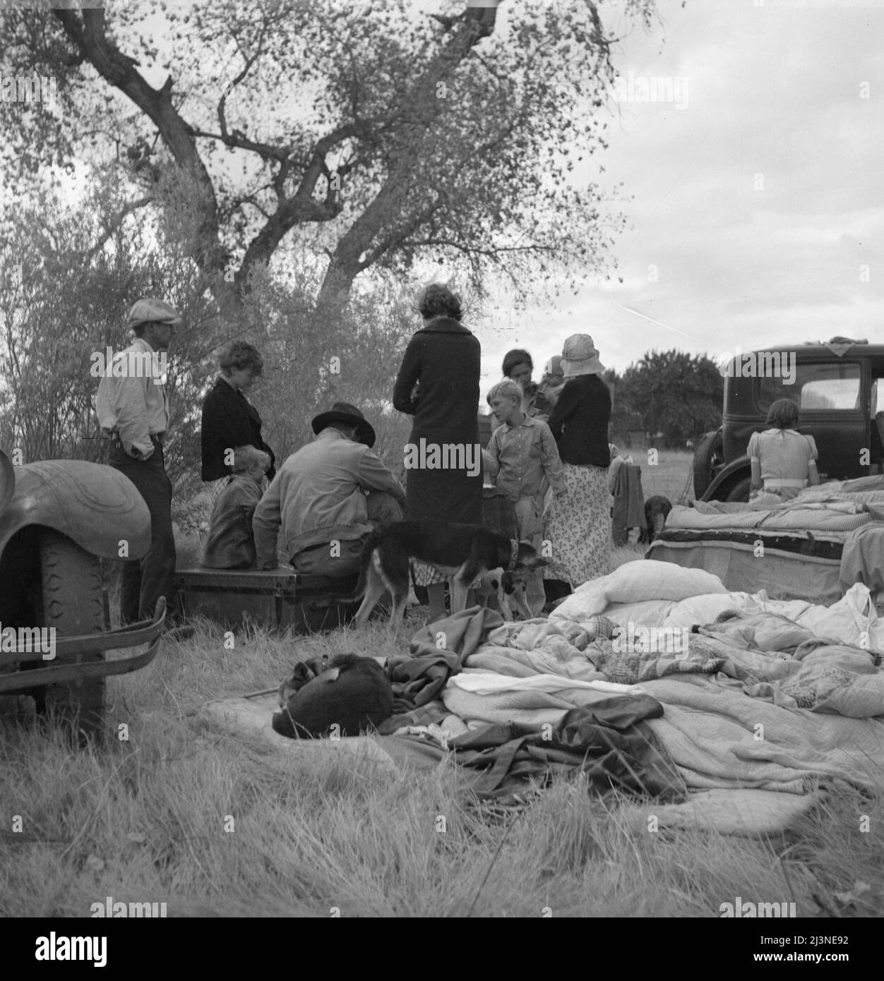 Si trova lungo l'autostrada vicino a Bakersfield, California. Senza penniless rifugiati da polvere ciotola. Ventidue in famiglia, trentanove sfratti, ora accampati vicino a Bakersfield senza riparo, senza acqua e alla ricerca di lavoro nel cotone. Foto Stock