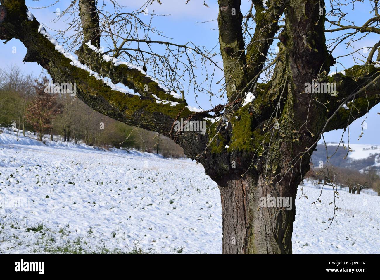 I tiri laterali sono supportati da una catena Foto Stock