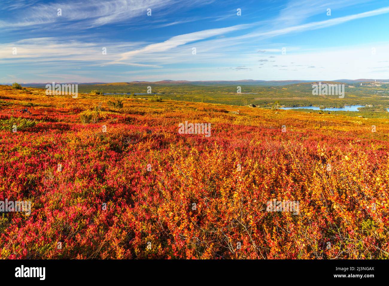 Paesaggio autunnale sul Monte Dundret con colori rosso e arancione e montagne sullo sfondo, Gällivare, Lapponia svedese, Svezia Foto Stock