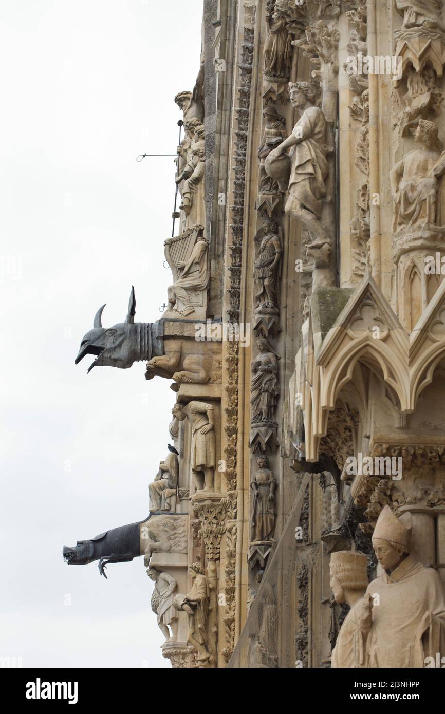 Gargoyles a forma di rinoceronte e altri animali esotici sulla facciata ovest della Cattedrale di Reims (Cathédrale Notre-Dame de Reims) a Reims, Francia. Foto Stock