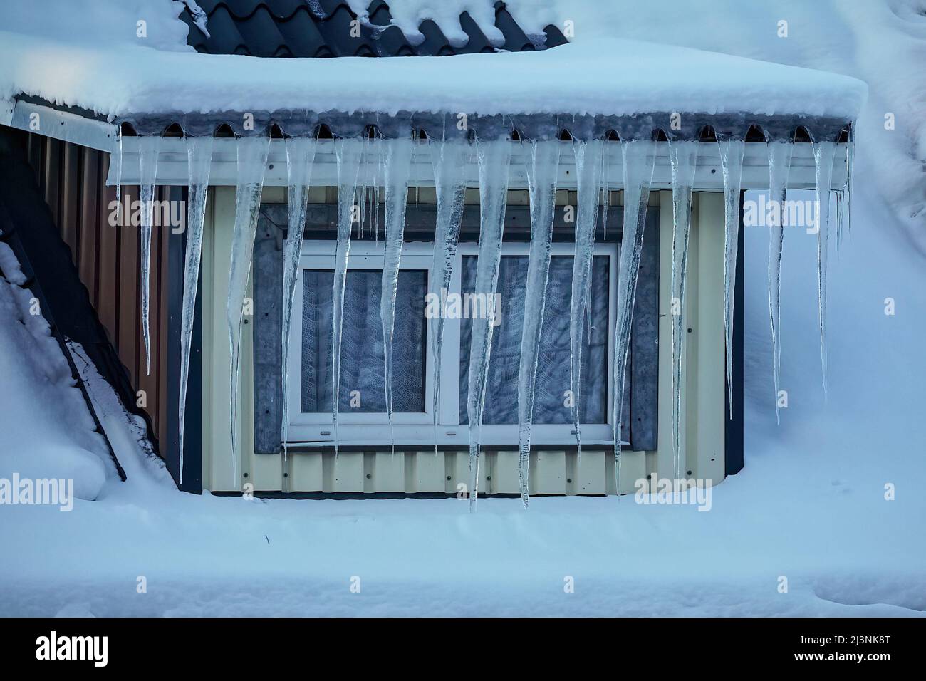 Lunghe ciclicole trasparenti appese al tetto di fronte alla finestra della casa Foto Stock