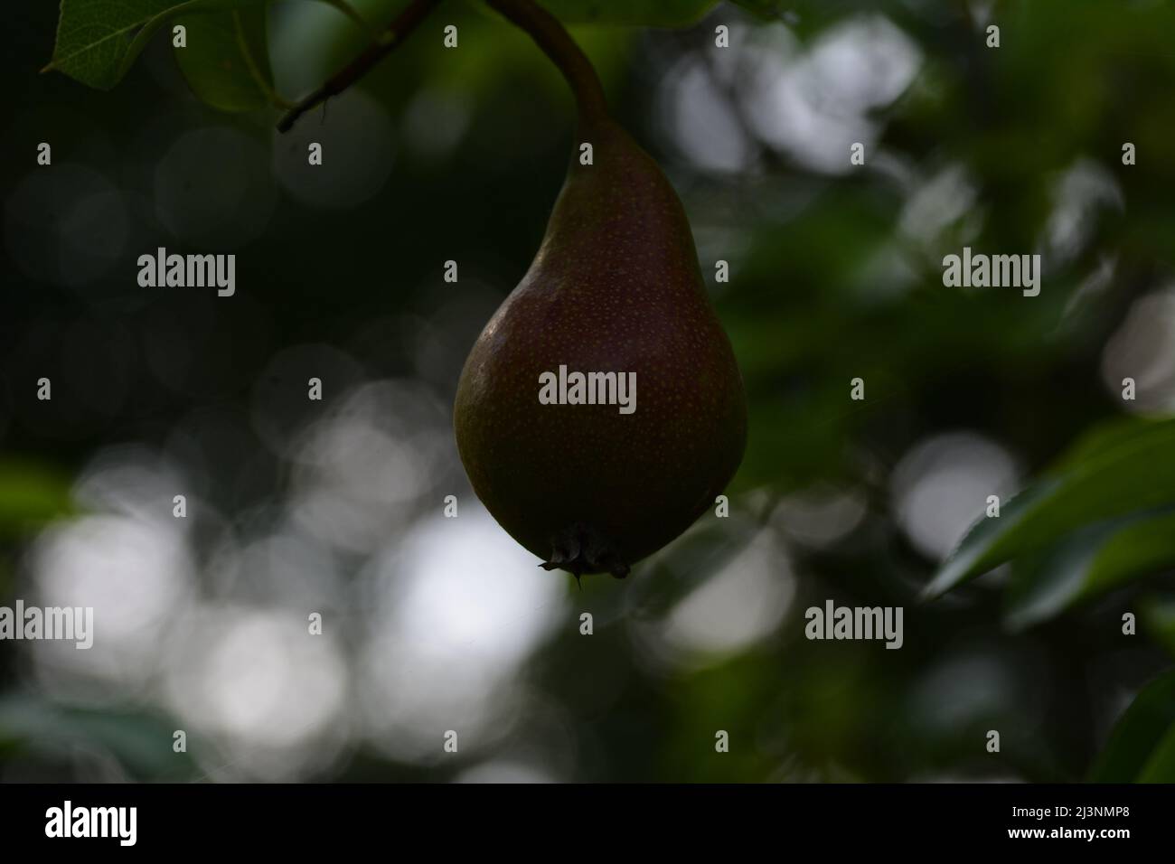 Bellissimo primo piano di un collega Foto Stock