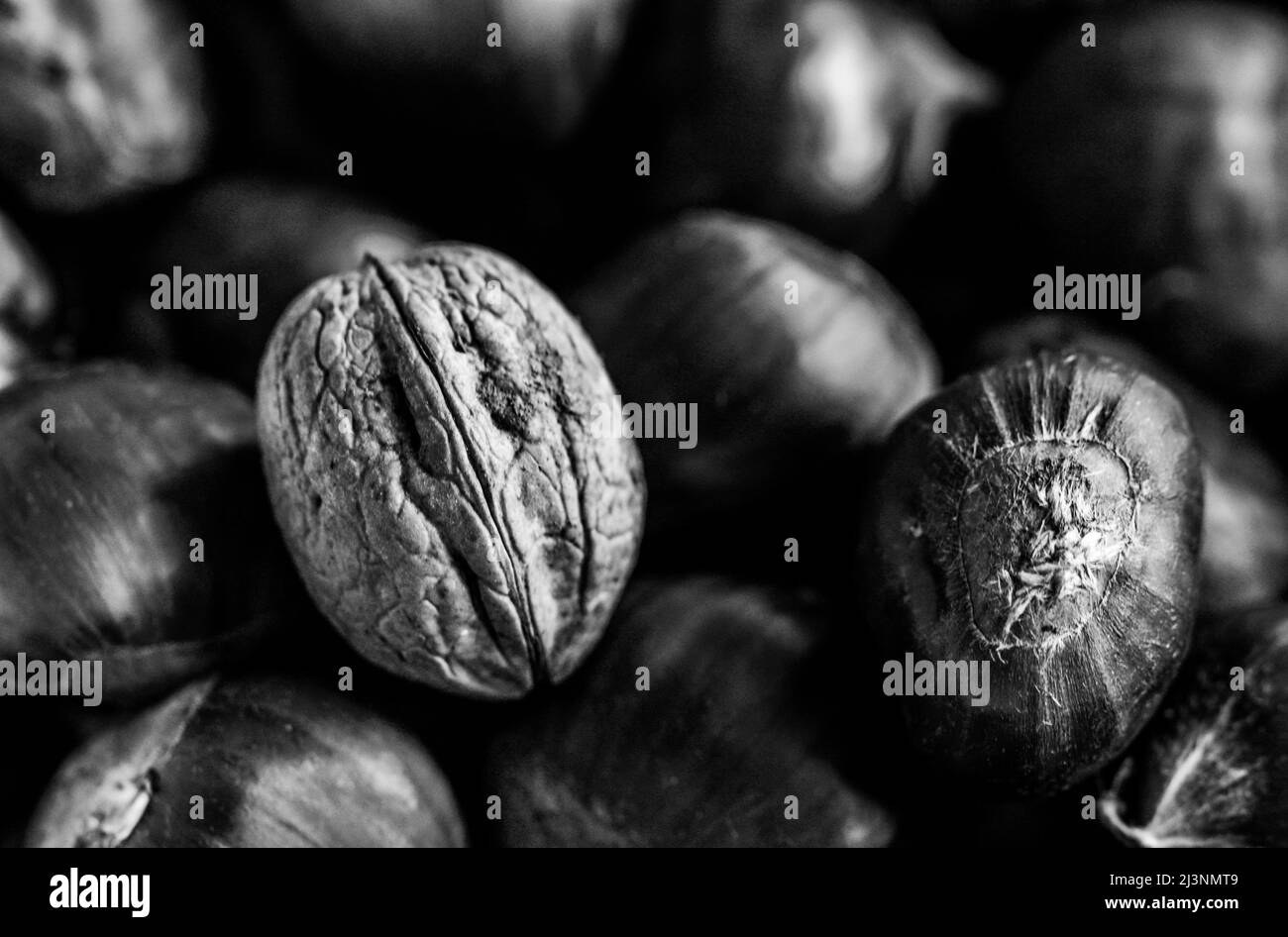 Bellissimo primo piano di una noce Foto Stock