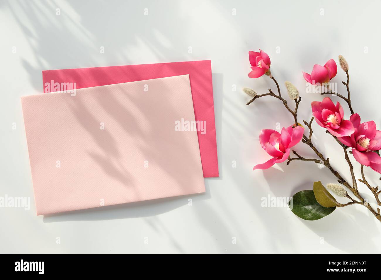 Cartolina vuota con busta. Fiori decorativi rosa magnolia. Vista dall'alto su sfondo bianco. Luce solare diretta naturale, ombre. Foto Stock