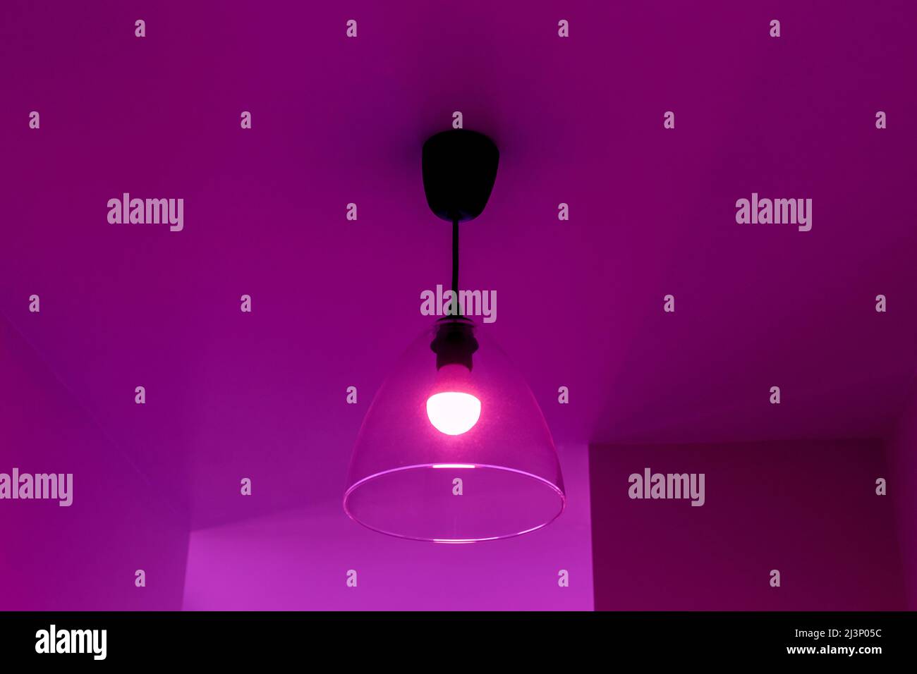 Lampada sul soffitto nella stanza con luce viola Foto stock - Alamy