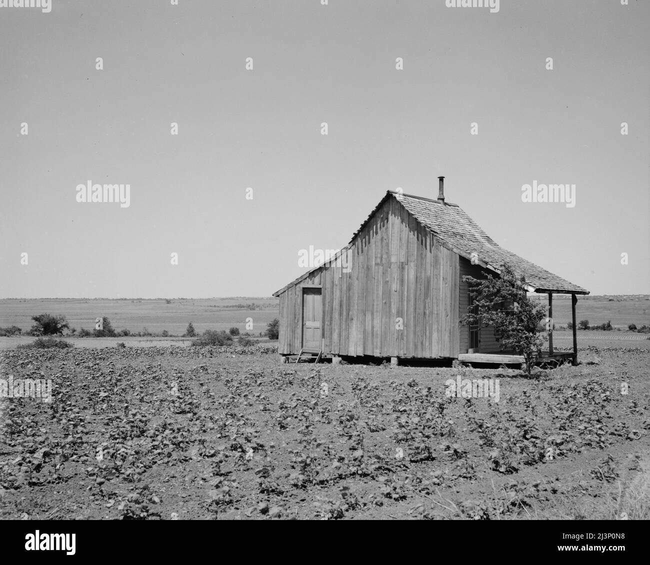 Le terre di cotone di Ellis County, Texas, sono ben adattate alla coltivazione di trattori, ma le case degli inquilini contadini sono vuote. Foto Stock