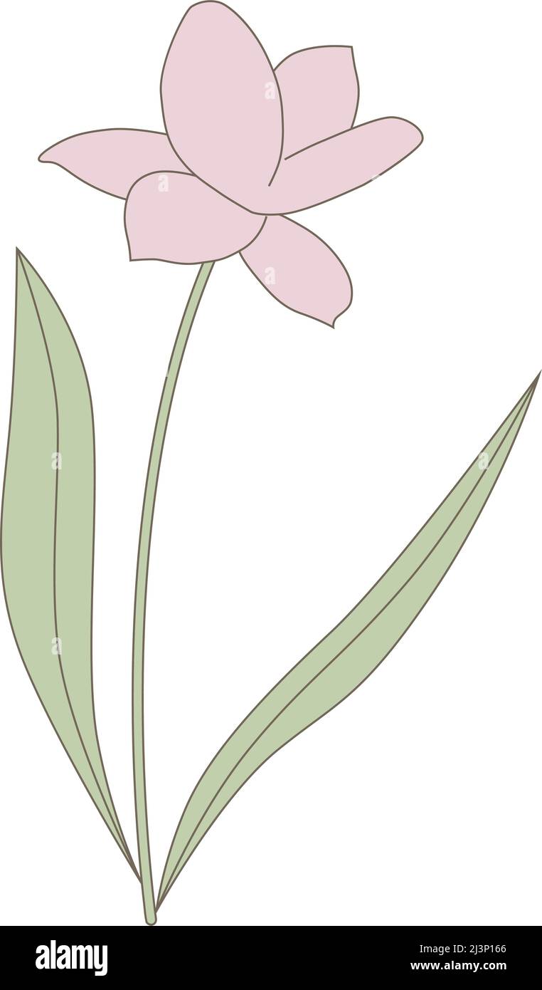 fiore primaverile, vettore Illustrazione Vettoriale