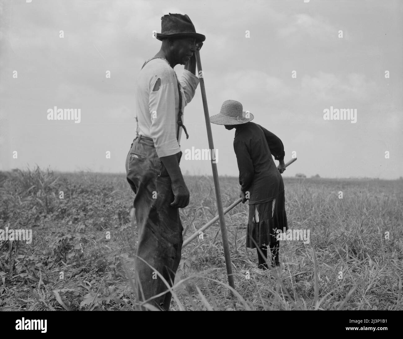 Sharecroppers di cotone. Greene County, Georgia. Producono poco, vendono poco, comprano poco. Foto Stock