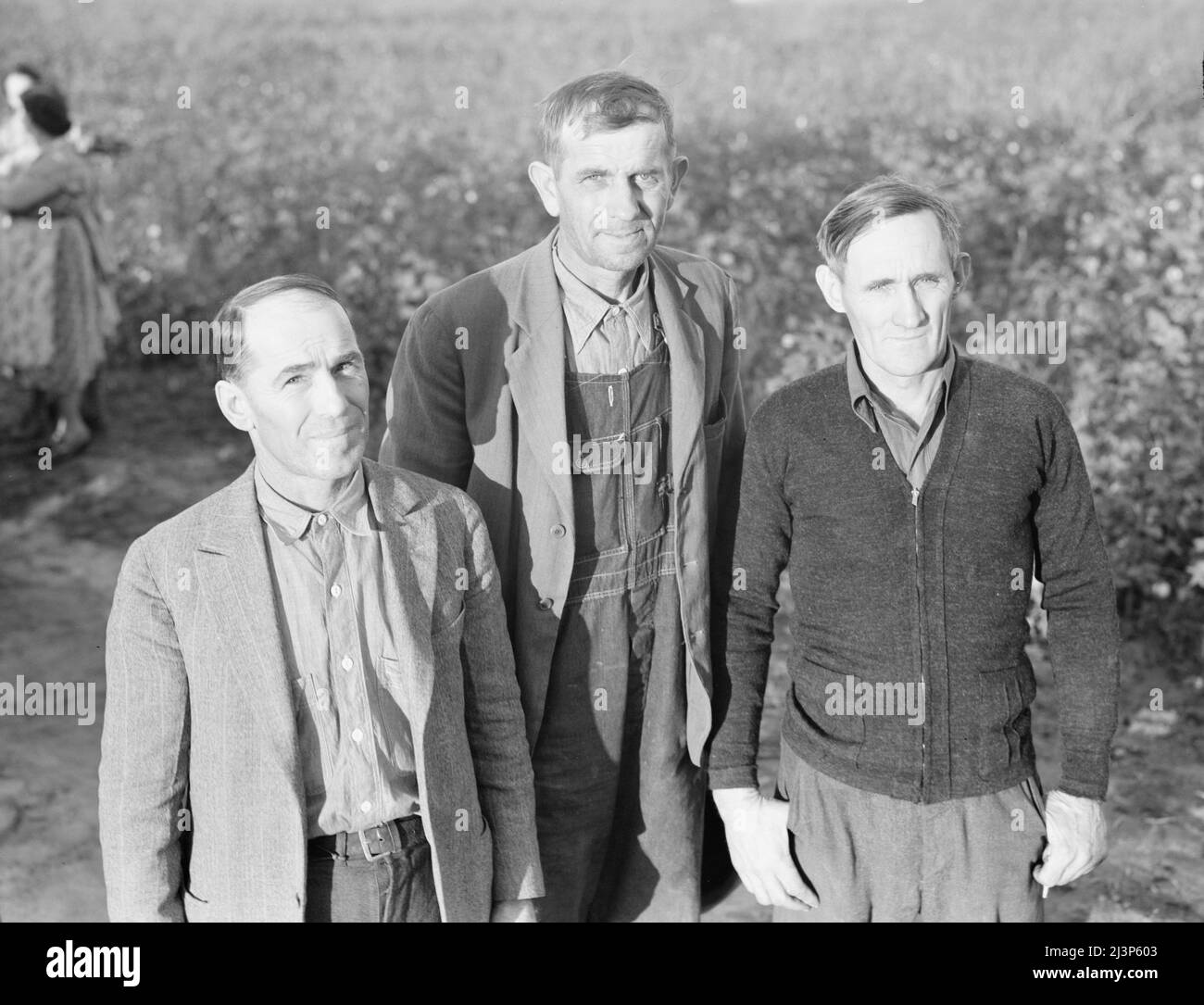 Questi tre uomini comprendono il consiglio di amministrazione della Mineral King Farm Association, contea di Tulare, California. Sono stati eletti dal proprio gruppo per dirigere questa unità agricola. Foto Stock