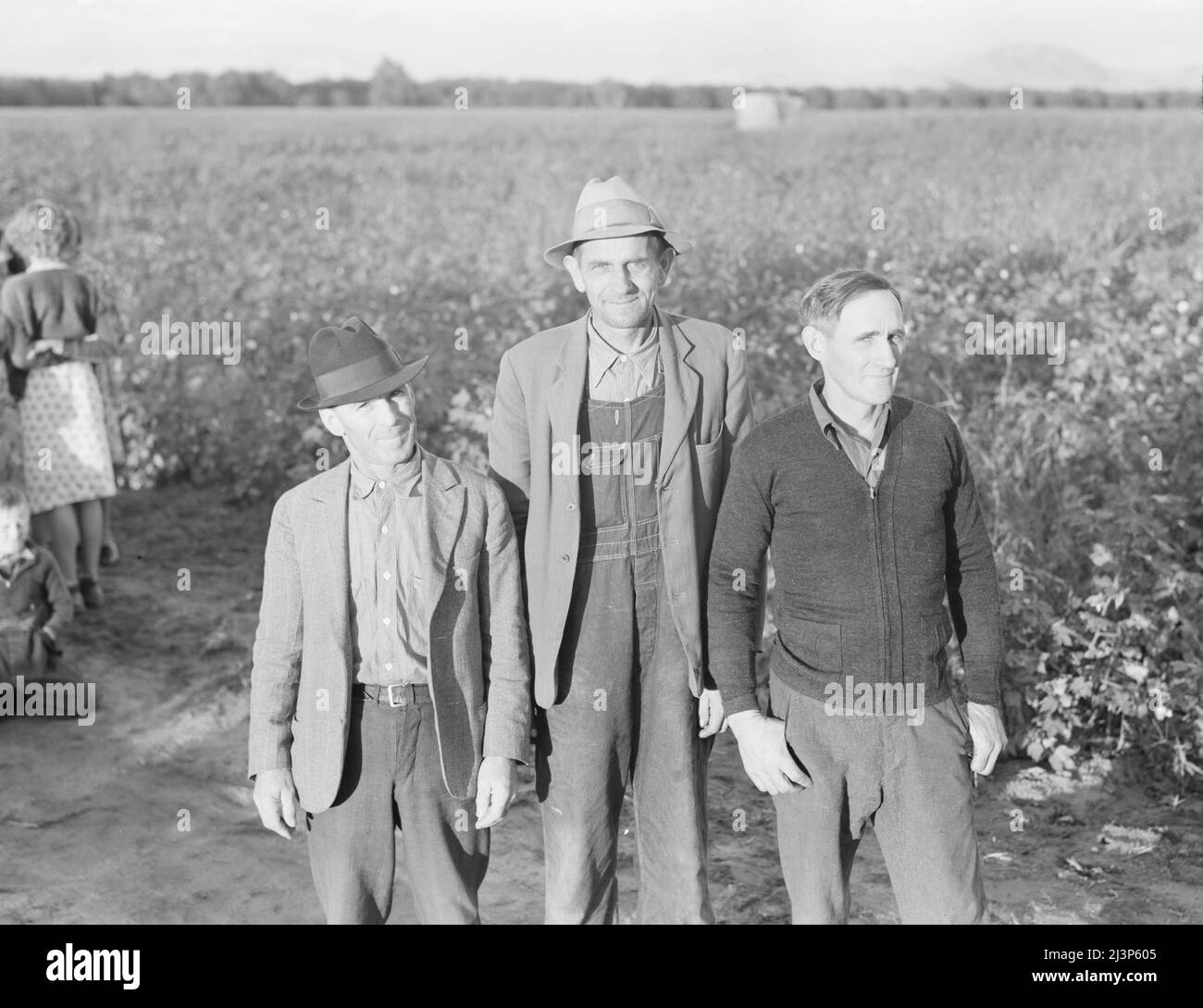 Dieci famiglie sono state istituite dalla FSA (Farm Security Administration) nella Fattoria mineraria della Cooperativa del Re, un vecchio ranch di 500 acri, che opereranno come unità di fattoria, allevando cotone, erba medica, e prodotti lattiero-caseari per colture cash. Aeroporto di Tulare County, California. Foto Stock