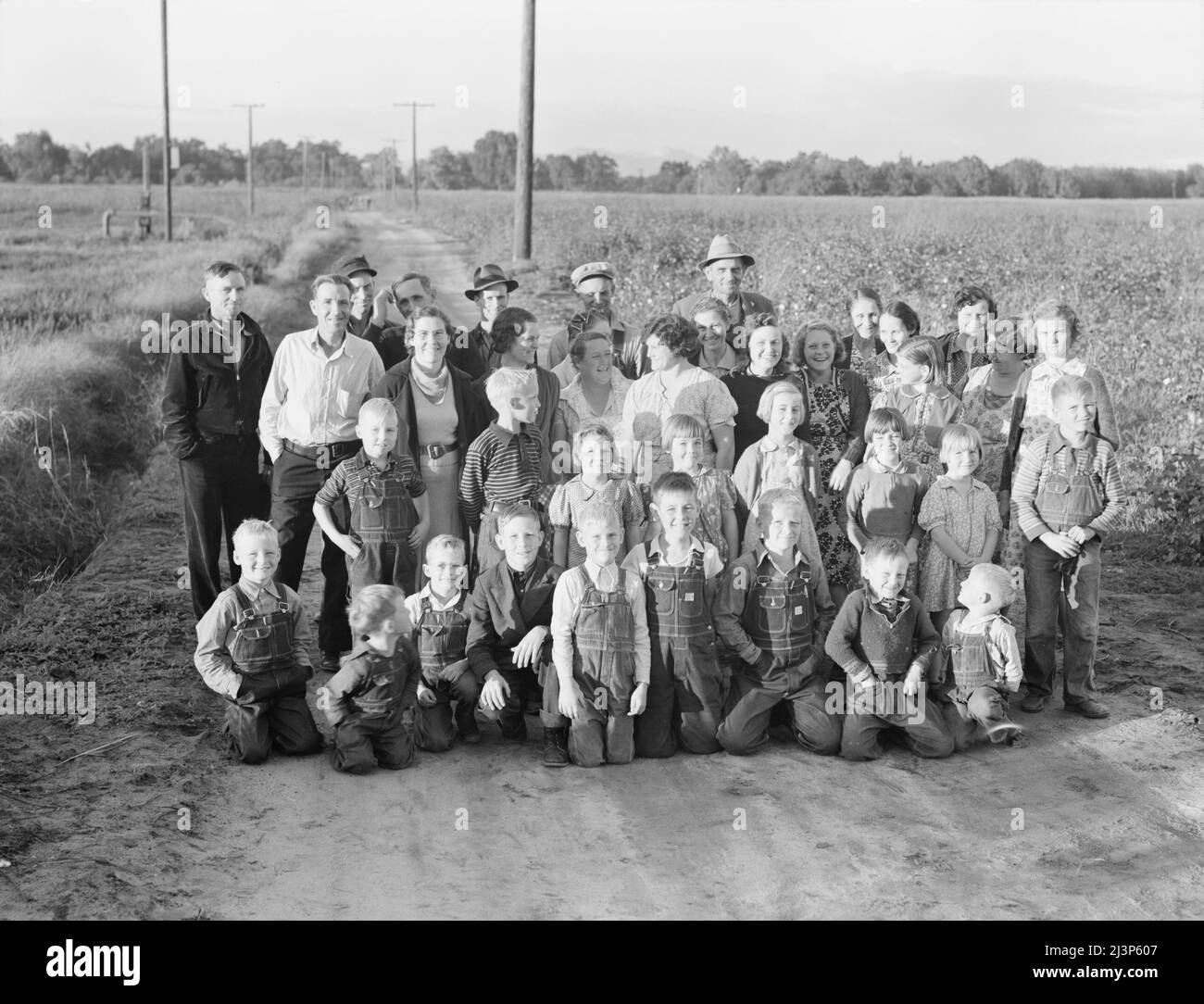 Visalia (nelle vicinanze), Tulare County, California. L'Amministrazione della sicurezza dell'azienda agricola. Fattoria cooperativa dei minatori. Nel vecchio ranch di 500 acri sono state stabilite dieci famiglie, che operano come unità agricola, allevando erba medica di cotone e prodotti lattiero-caseari per colture in contanti. Foto Stock