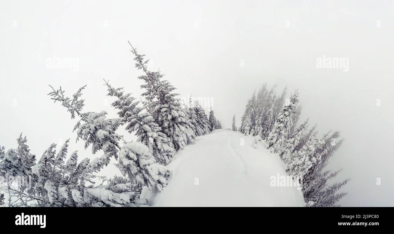 Maestoso paesaggio invernale. Drammatica scena invernale. Ubicazione dei Carpazi parco nazionale, Ucraina, l'Europa. Ski Resort. Bellezza Mondo. Instagram effec tonificante Foto Stock