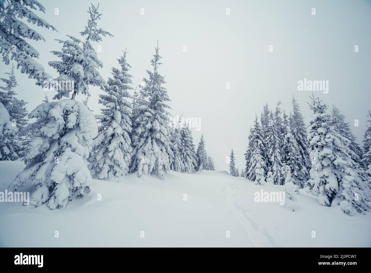 Maestoso paesaggio invernale. Drammatica scena invernale. Ubicazione dei Carpazi parco nazionale, Ucraina, l'Europa. Ski Resort. Bellezza Mondo. Instagram effec tonificante Foto Stock