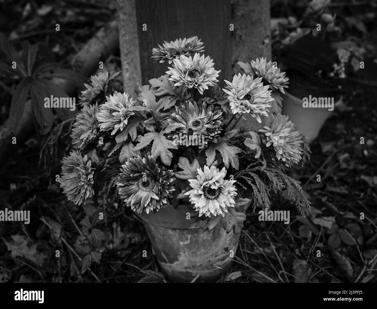 Fiori artificiali Melancholy Still Life monocromatico Bianco e nero Foto Stock