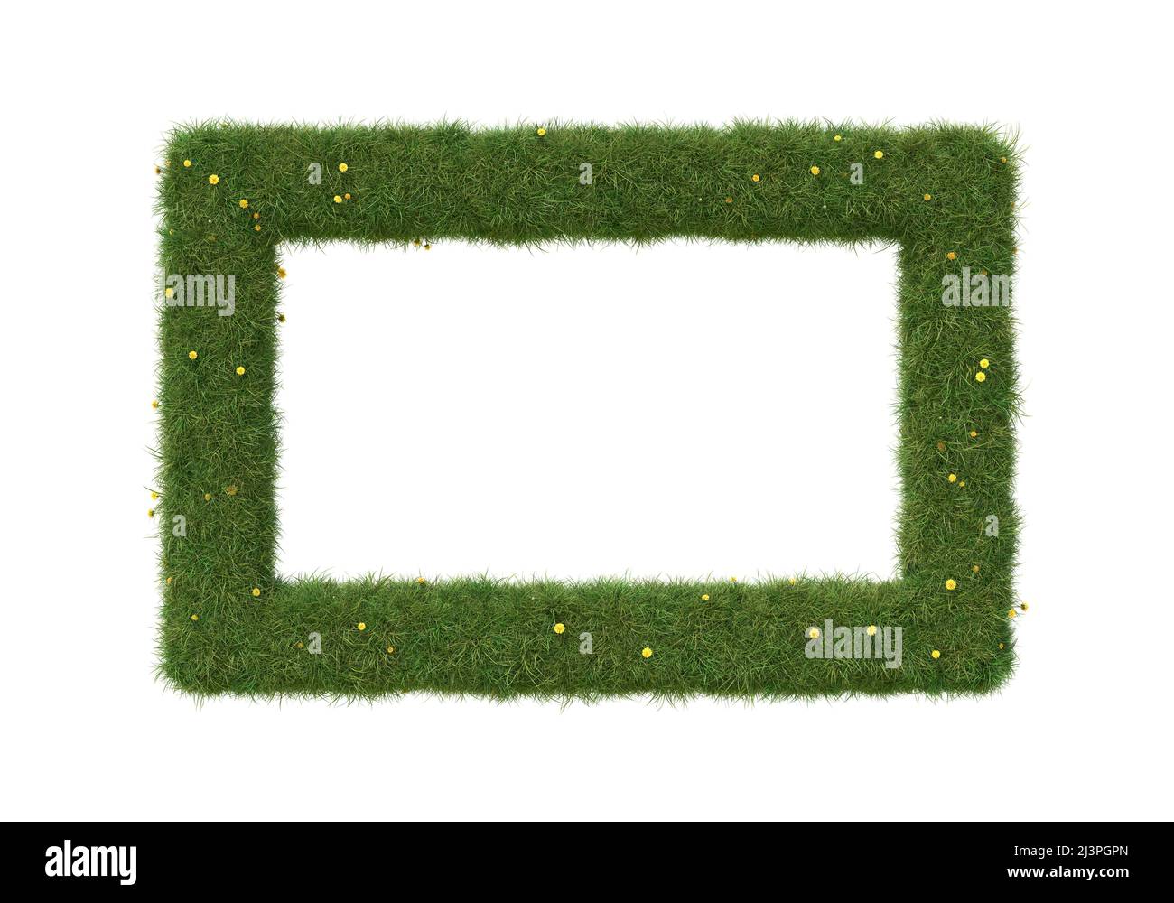Cornice rettangolare in erba e dandelioni, isolata su bianco. Immagine 3D Foto Stock